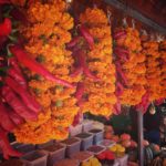 tournage E2: marché fleurs de souci