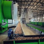 tournage E2: Georgian Walnuts