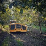 tournage E2: Georgian Walnuts